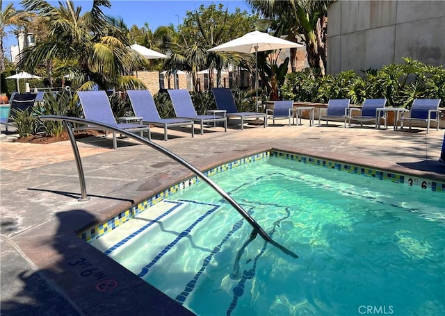 view of swimming pool with a patio