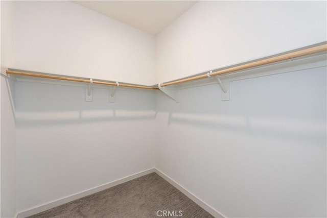 spacious closet featuring carpet flooring