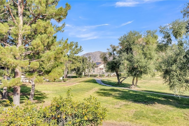 view of community featuring a mountain view and a yard