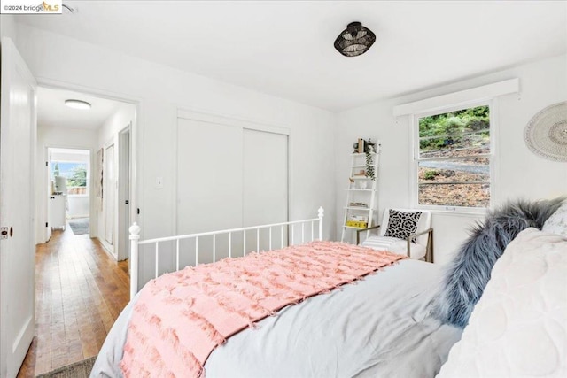 bedroom featuring multiple windows, wood-type flooring, and a closet