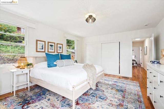 bedroom featuring multiple windows, light hardwood / wood-style flooring, and a closet