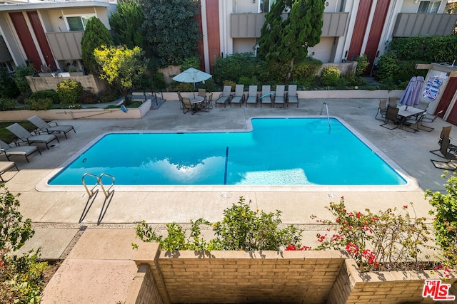 view of swimming pool featuring a patio area