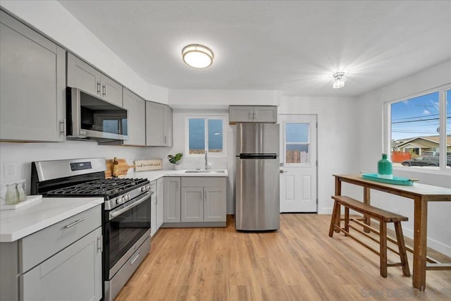 kitchen featuring light wood-type flooring, stainless steel appliances, gray cabinetry, and sink