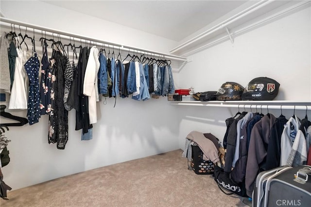 spacious closet with carpet