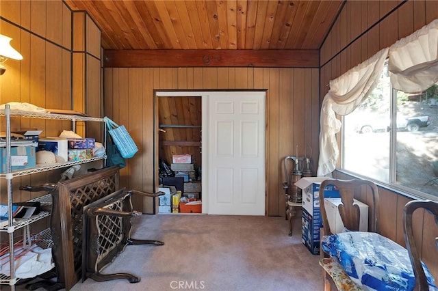 misc room featuring carpet flooring, wood ceiling, and wooden walls