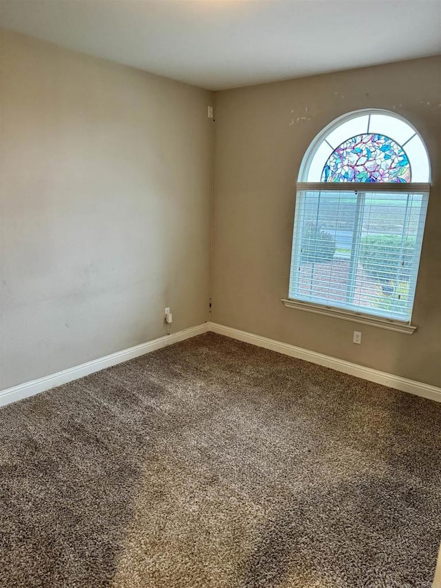 empty room featuring carpet