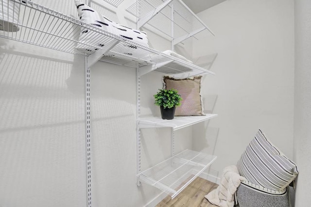 spacious closet with wood-type flooring