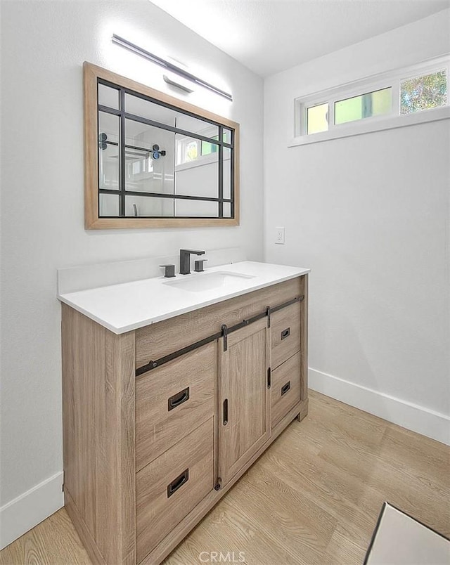 bathroom featuring wood-type flooring and vanity