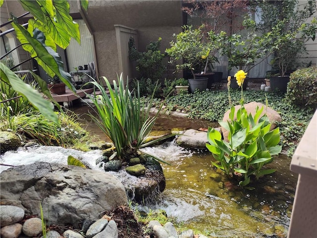 view of yard with a small pond