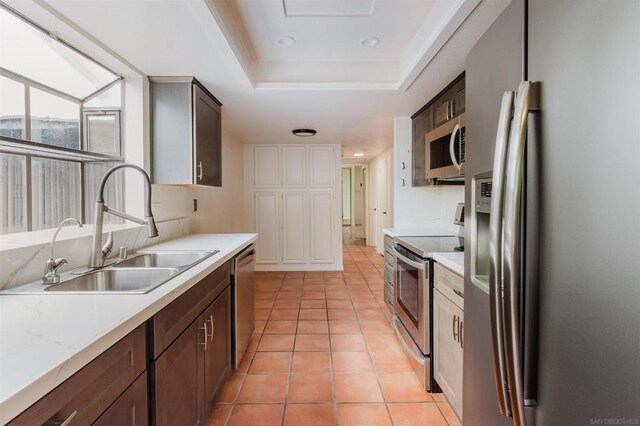 kitchen featuring a raised ceiling, dark brown cabinets, sink, and stainless steel appliances