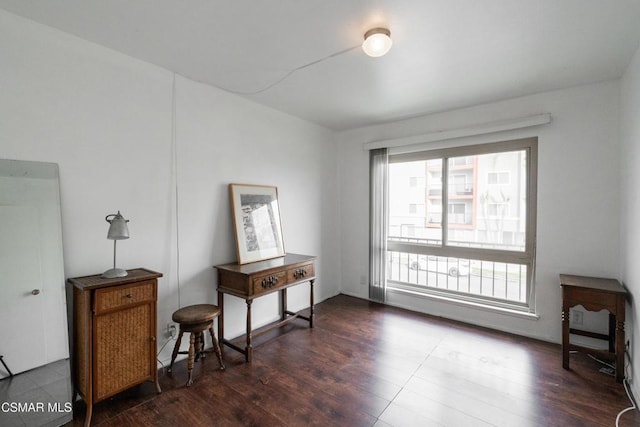 living area with dark hardwood / wood-style flooring