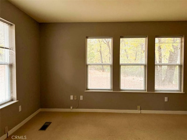 carpeted spare room with a healthy amount of sunlight