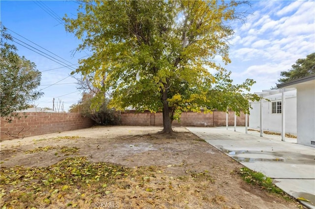 view of yard with a patio