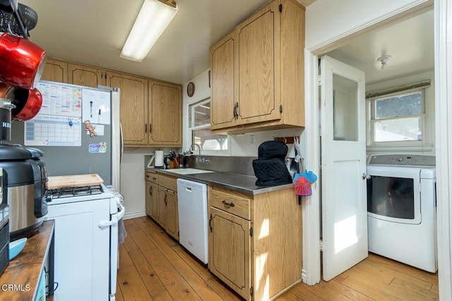 kitchen with sink, white appliances, a wealth of natural light, and light wood-type flooring