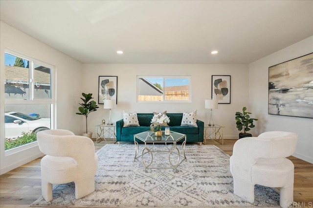 living room featuring light hardwood / wood-style flooring