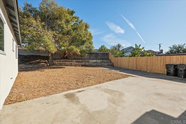 view of yard featuring a patio