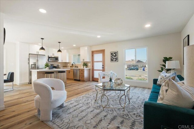 living room featuring light hardwood / wood-style floors and sink