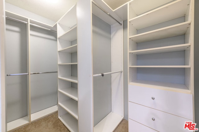 spacious closet featuring carpet