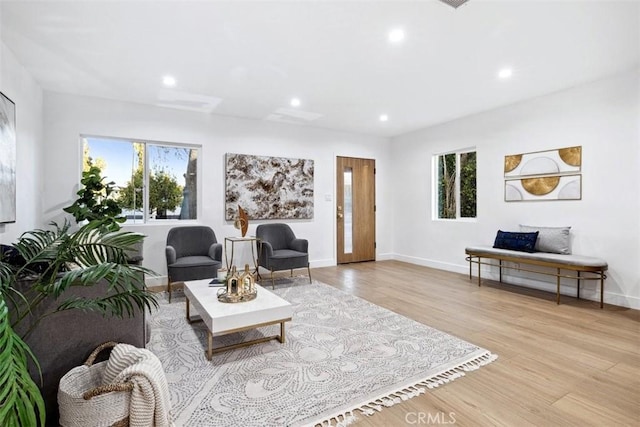 living room with light wood-type flooring