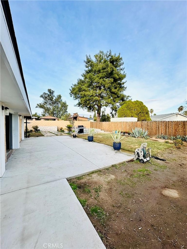 view of yard featuring a patio