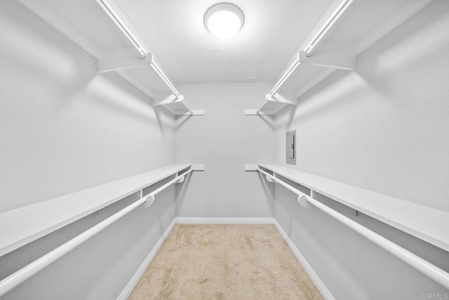 walk in closet with electric panel and light colored carpet