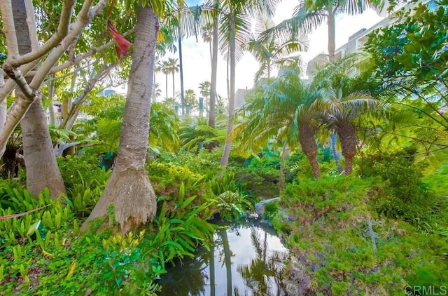 view of landscape