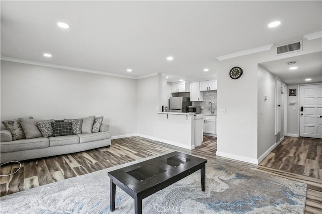 living room with ornamental molding, dark hardwood / wood-style floors, and sink