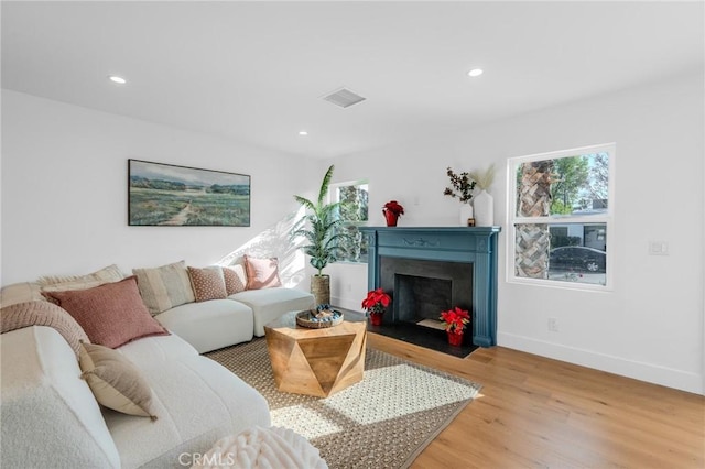 living room with light wood-type flooring and a wealth of natural light