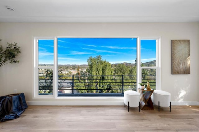 living area featuring light hardwood / wood-style flooring