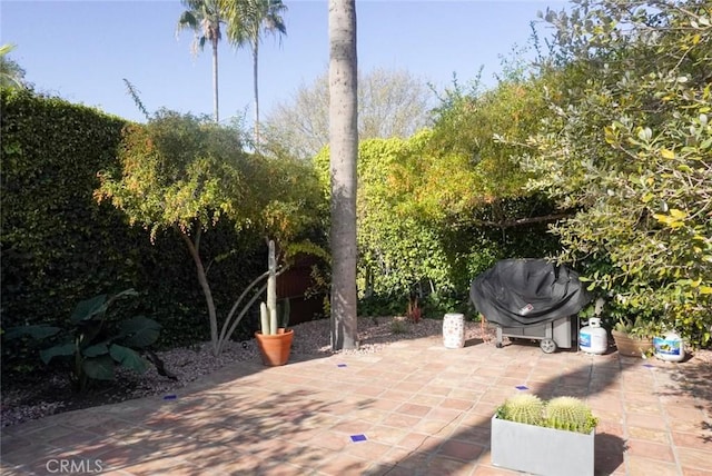 view of patio / terrace featuring grilling area