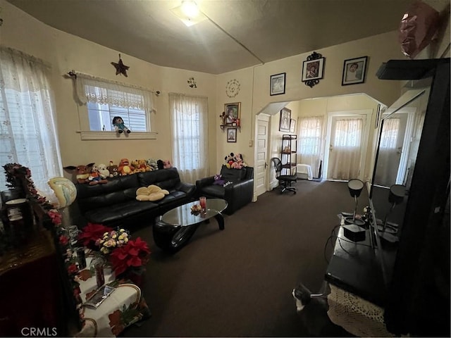 view of carpeted living room