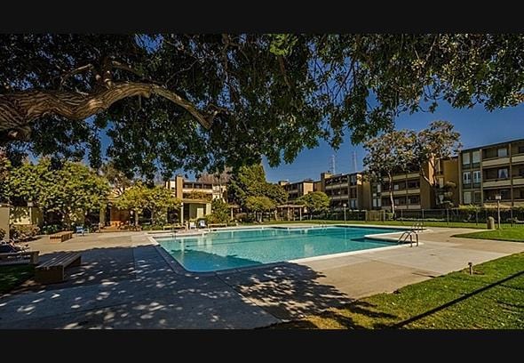 view of swimming pool featuring a patio