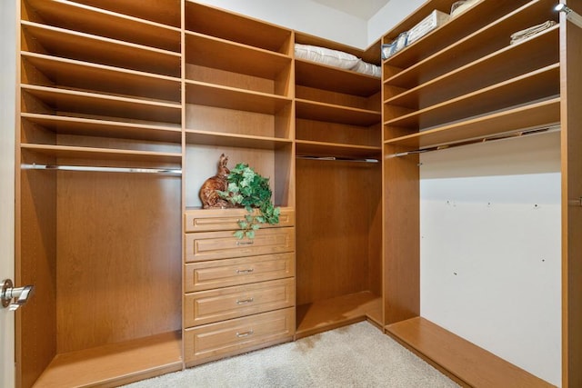 walk in closet with light carpet