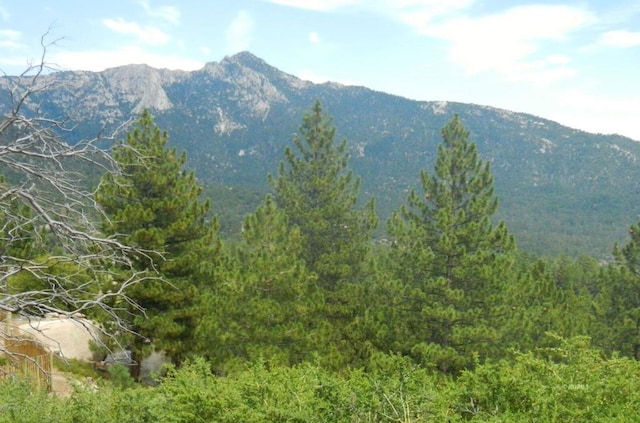 0 Big Rock, Idyllwild CA, 92549 land for sale