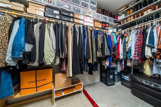 spacious closet featuring carpet flooring