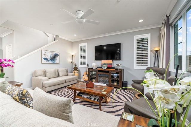 living room with ceiling fan, wood-type flooring, and crown molding