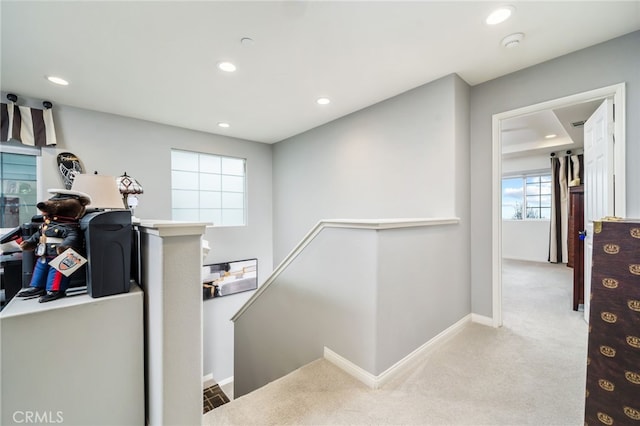 staircase featuring carpet floors