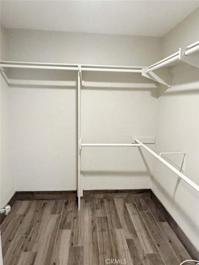 walk in closet with dark wood-type flooring