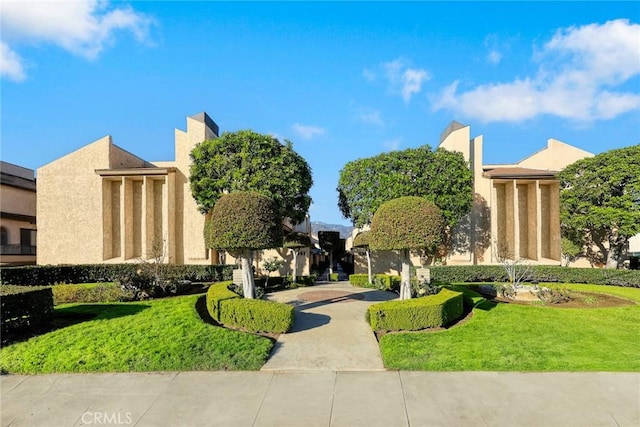 view of community with a lawn