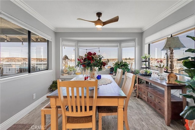 sunroom / solarium with ceiling fan