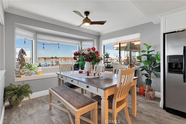 dining room featuring ceiling fan, crown molding, and light hardwood / wood-style flooring