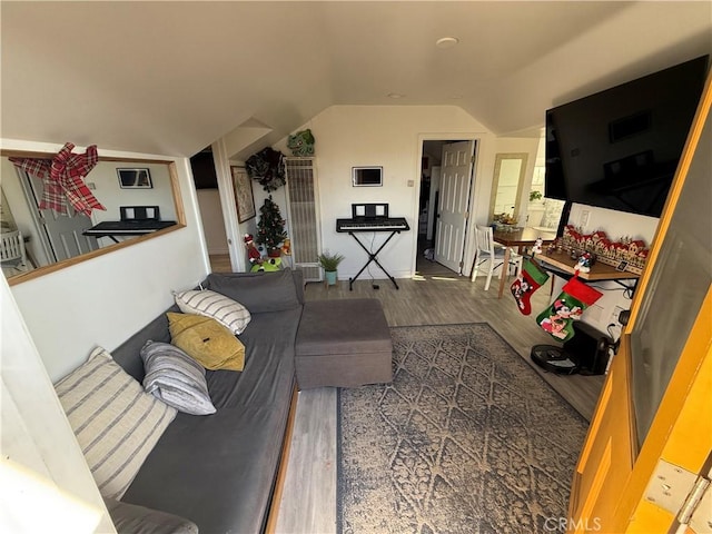 living room featuring dark wood-type flooring and vaulted ceiling