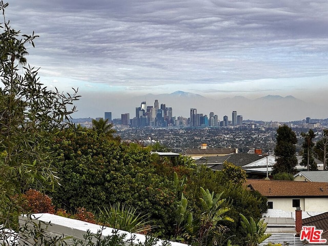 property's view of city featuring a mountain view