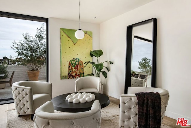 sitting room featuring wood-type flooring