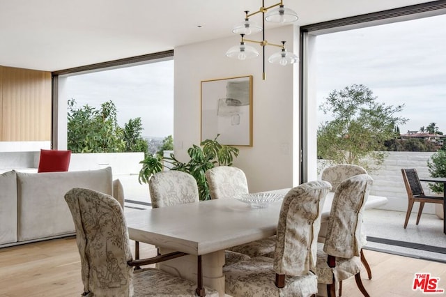 dining area featuring a wall of windows and light hardwood / wood-style floors