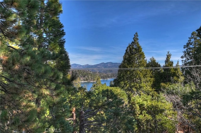 mountain view featuring a water view