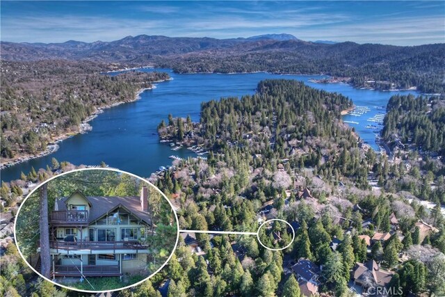762 Zurich Dr, Lake Arrowhead, CA 92352 - bird's eye view of a water and mountain view and a forest