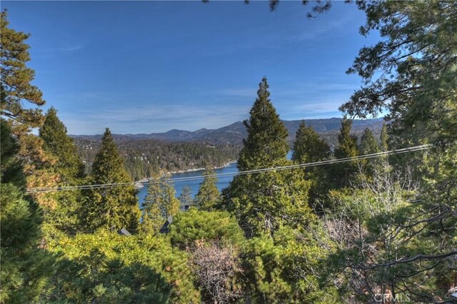 762 Zurich Dr, Lake Arrowhead, CA 92352 - view of mountain background featuring a large body of water and a forest