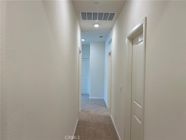 hallway with light carpet