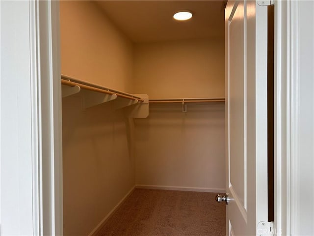 spacious closet with carpet